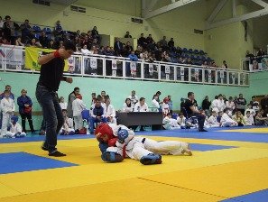 IMG_5565.jpg